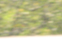 20100206 538.JPG